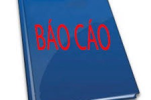 Báo cáo kết quả thực hiện kế hoạch cải tiến chất lượng giáo dục năm học 2023-2024.