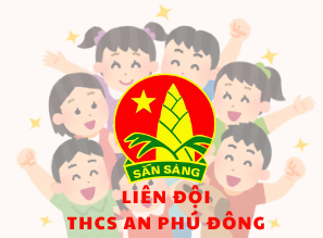 Vòng chung kết - Hội thi Nghi thức Đội