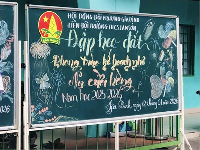 Nụ cười hồng – cùng bạn đến trường.
đập heo đất – phong trào kế hoạch nhỏ.