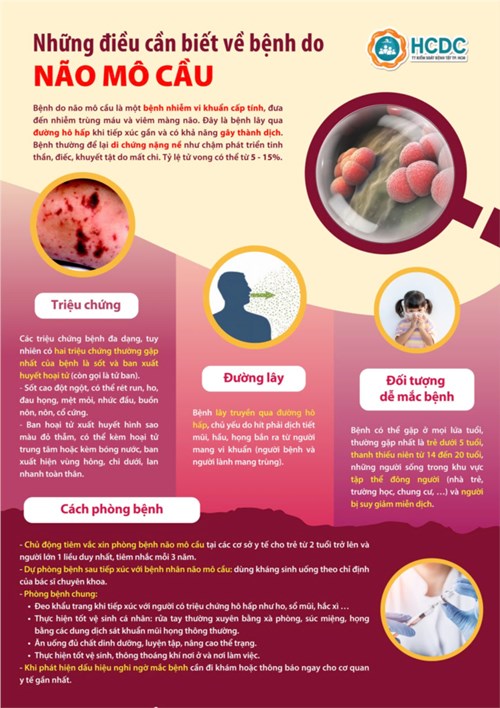 Truyền thông bệnh do Não mô cầu