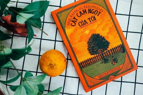 Khi đọc xong  Cây Cam ngọt của tôi , bạn đã nhận ra thêm được điều gì?