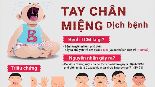 Phòng tránh bệnh  TAY CHÂN MIỆNG 