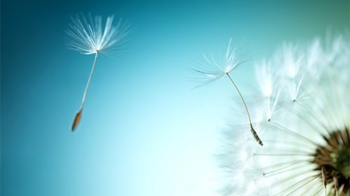 Thực đơn bán trú từ ngày 03/11 đến ngày 28/11/2025