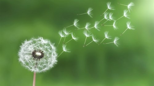 Thực đơn bán trú từ ngày 01/12 đến ngày 26/12/2025