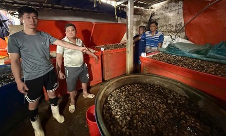 Công an TPHCM triệt phá ‘xưởng’ dùng 500 tấn hoá chất rất độc hại ngâm 3.000 tấn thịt ốc bán ra thị trường