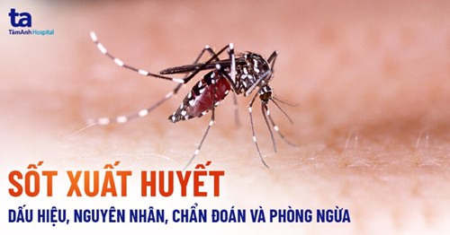 Về tổ chức các hoạt động hưởng ứng phong trào vệ sinh nâng cao sức khỏe nhân dân năm 2024