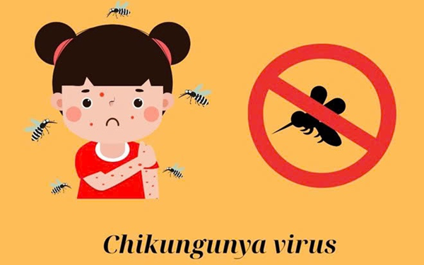 Tuyên truyền về phòng, chống Chikungunya - Sốt xuất huyết
