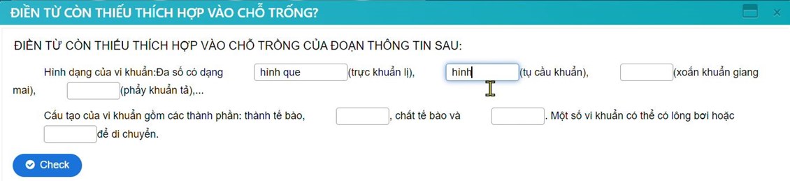 Ảnh đại diện