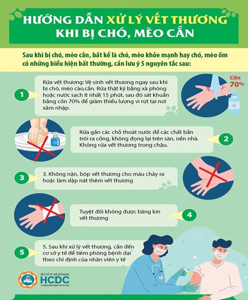Bệnh dại chỉ có thể phòng bằng tiêm ngừa