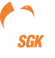 Kế hoạch lựa chọn sách giáo khoa lớp 9 năm học 2024-2025