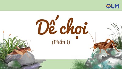 Bài 4: Dế Chọi - HKI
