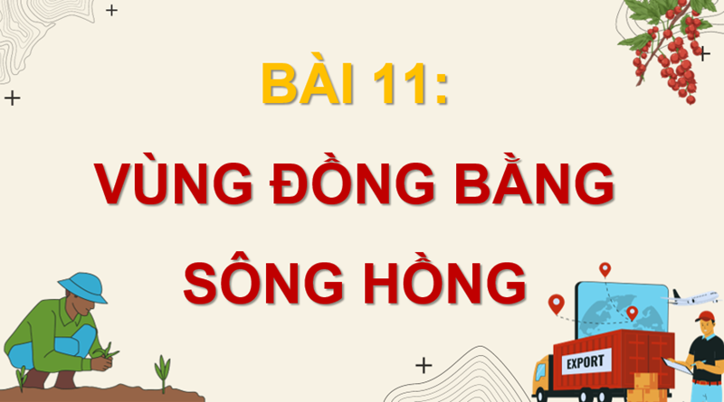Bài 11. Vùng Đồng bằng sông Hồng