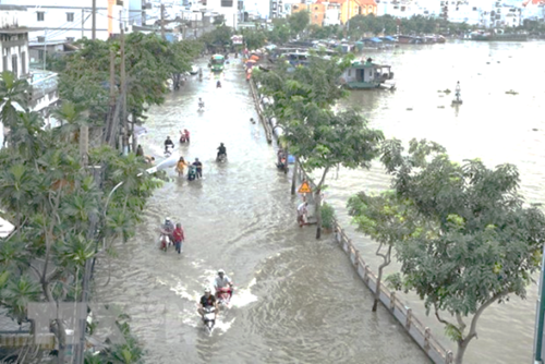 Các biện pháp xử lý nước sinh hoạt trong mùa mưa, bão