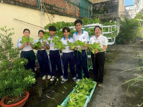 Vườn rau nho nhỏ phía sau trường - Không gian xanh mát