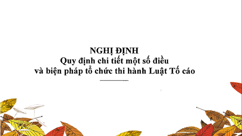 Nghị định số 31/2019/NĐ-CP của Chính phủ: Quy định chi tiết một số điều và biện pháp tổ chức thi hành Luật Tố cáo
