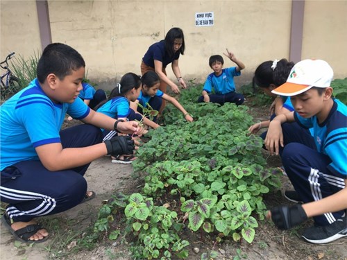 Hoạt động trải nghiệm nông nghiệp năm học 2018-2019