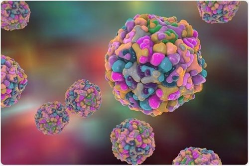 Bài tuyên truyền
các bệnh thường gặp cúm mùa  và cách phòng tránh