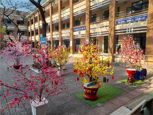 Hội thi trang trí cây mai, cây đào chào đón Xuân Giáp Thìn 2024