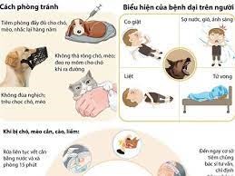Bệnh dại và cách phòng chống