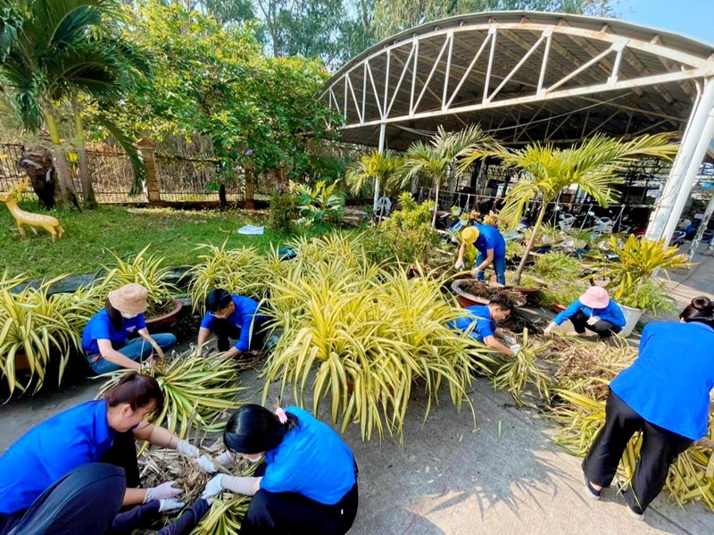 Chi Đoàn trường THCS Nguyễn Văn Bá ra quân chăm sóc cây xanh và dọn dẹp vệ sinh trong khuôn viên nhà trường