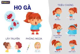 Hỏi Đáp ho gà ?
