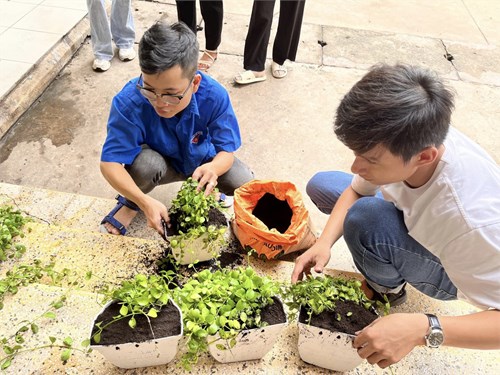 Ngày chủ nhật xanh lần thứ 153 - năm 2024