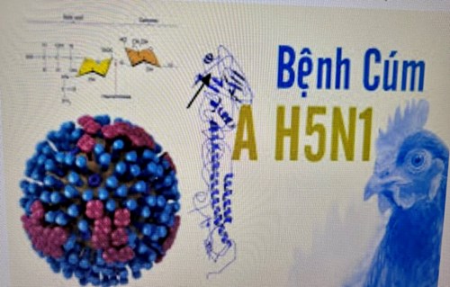 Tuyên truyền sức khỏe- Bệnh cúm gia cầm