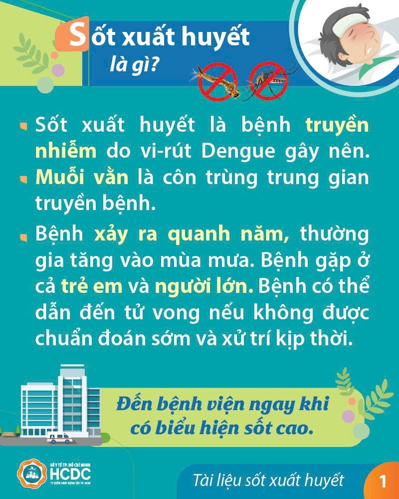 Sốt xuất huyết là gì?