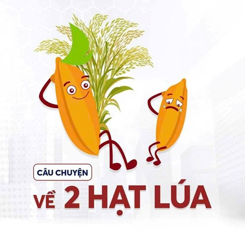 Câu chuyện giáo dục: Hai hạt lúa