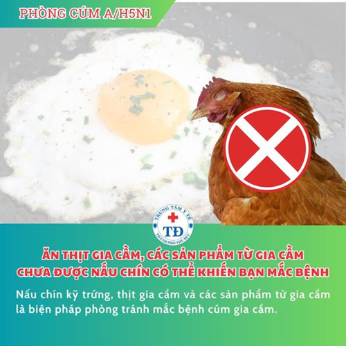 Bệnh Cúm Gia Cầm