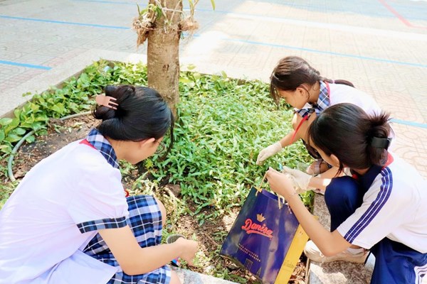  Tuổi nhỏ làm việc nhỏ
Tùy theo sức của mình 