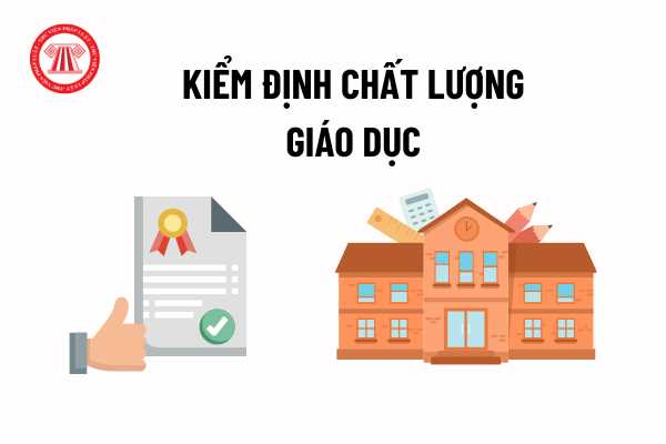 Báo cáo tự đánh giá năm 2024