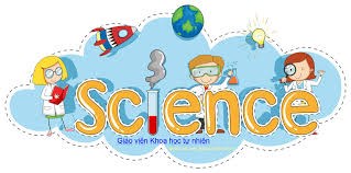 Nhân sự Tổ Khoa học tự nhiên