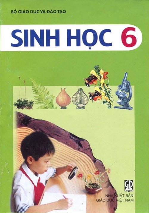 Tiết học ngoài nhà trường Sinh 6 - Biến dạng của lá