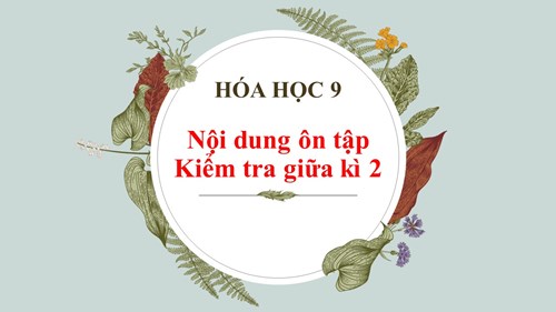 Hóa học 9 - Hướng dẫn ôn tập kiểm tra giữa kì 2 (2023-2024)