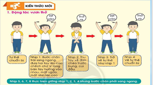 Tuần 8: bài tập thể dục