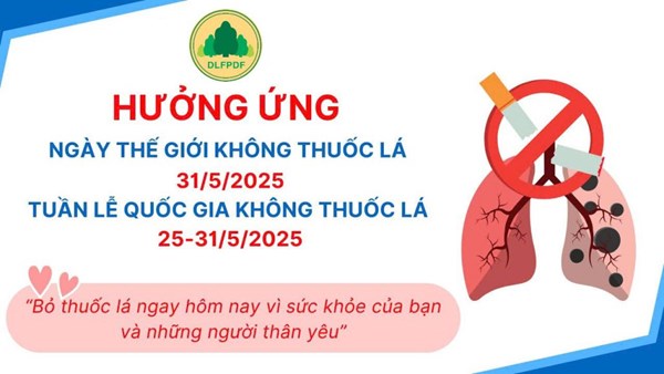Hưởng ứng Tuần lễ quốc gia không thuốc lá 25-31/5/2025