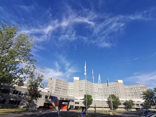 Hiện tượng đêm trắng là gì? nguyên nhân gây ra hiện tượng đêm trắng?