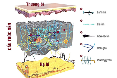 Điều kì diệu của làn da