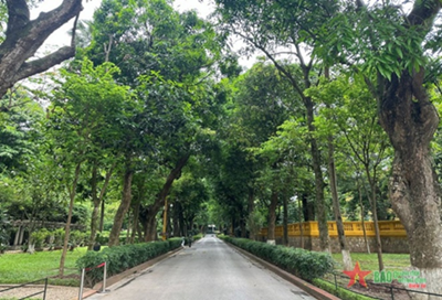 Tháng Năm nhớ Bác