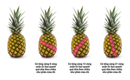 Câu chuyện về toán học