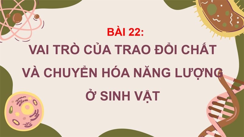 Bài 22_ vai trò của trao đổi chất và chuyển hóa năng lượng ở sinh vật