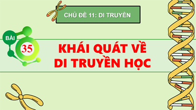 Bài 35: Khái quát về di truyền học