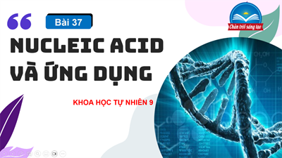 Bài 37: Nucleic acid và ứng dụng
