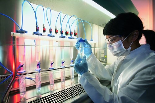 Bài 45: Ứng dụng công nghệ di truyền vào đời sống