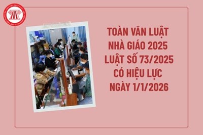 Luật Nhà Giáo (Số 73/2025/QH15)