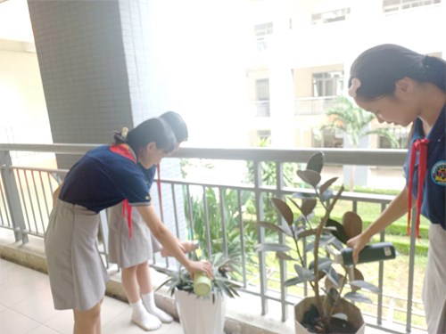 🍃🍃Sống xanh -  30 phút Liên đội xanh - Sạch - Đẹp 🍃🍃