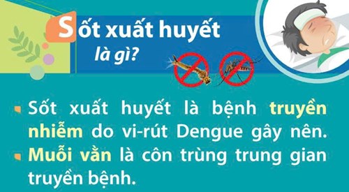 Trạm y tế xã Đông Thạnh khuyến cáo phòng chống dịch bệnh Sốt xuất huyết trên địa bàn xã