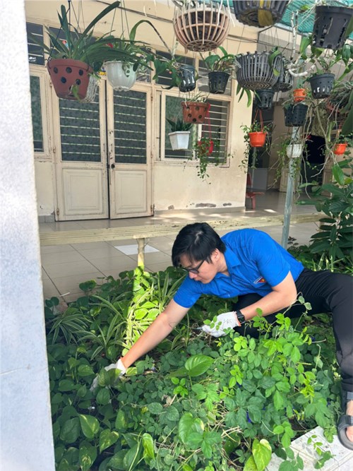 Chi đoàn trường THCS Đông Thạnh thực hiện công tác Phòng chống dịch bệnh sốt xuất huyết, ra quân vệ sinh môi trường