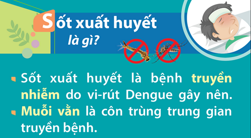 Về bệnh Sốt xuất huyết